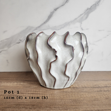 Load image into Gallery viewer, The Leaferie AS-IS Pots December 23.. Pot 1
