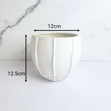 Load image into Gallery viewer, The Leaferie Pearl white ceramic pot