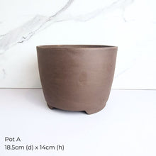 Load image into Gallery viewer, The Leaferie As-Is May 25 (9items). Defective flowerpot