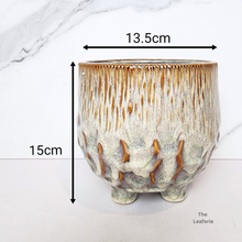 Load image into Gallery viewer, The Leaferie Clayton Beige ceramic pot with legs