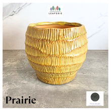 Load image into Gallery viewer, Prairie Gold textured planter on a gray surface with 'LEAFERIE' branding.