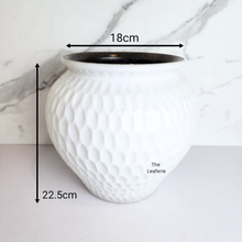 Load image into Gallery viewer, The Leaferie Cloud big white ceramic pot.