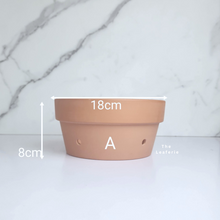 Load image into Gallery viewer, HANNA Terracotta Flowerpots with Holes (Shallow) 4 Sizes