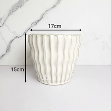 Load image into Gallery viewer, The Leaferie Quin White ceramic pot
