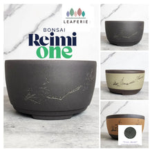 Load image into Gallery viewer, Reimi Bonsai Flowerpot (Series 1) 4 colours