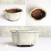Load image into Gallery viewer, The Leaferie Petit Bonsai Series 1. 2 colours. ceramic mini pot for bonsai. Front view of Design A