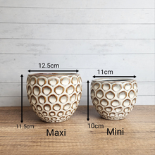 Load image into Gallery viewer, The Leaferie Sen Flowerpot . 2 sizes beige ceramic pot.