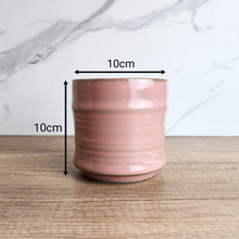 Load image into Gallery viewer, The Leaferie Teofania pink plant pot