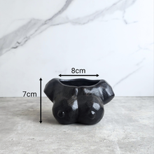 Load image into Gallery viewer, The Leaferie Coco flowerpot. breast pot ceramic material. black and white colour