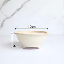 Load image into Gallery viewer, The Leaferie Petit bonsai series 46. 3 colours bonsai pots