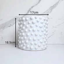 Load image into Gallery viewer, The Leaferie Ostaria white spike flowerpot. ceramic material