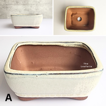 Load image into Gallery viewer, The Leaferie Bonsai Series 33 Flowerpot. 4 colours rectangular pot. pot A