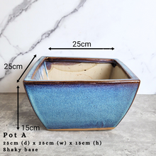 Load image into Gallery viewer, The Leaferie Asi-is Pots Nov and dec 24. 9 items.