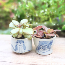 Load image into Gallery viewer, Nala Cat Flowerpot