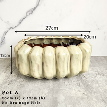 Load image into Gallery viewer, The Leaferie As-is august 24. 12 items