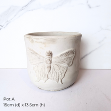 Load image into Gallery viewer, The Leaferie As-Is Pot April 25. 9 items