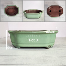 Load image into Gallery viewer, The Leaferie Tally Bonsai pot series 1 . 4 designs .front view o f Pot B