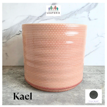 Load image into Gallery viewer, Kael Pink textured plant pot on a marble surface with 'LEAFAERIE' branding.