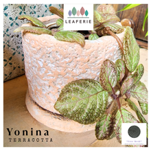 Load image into Gallery viewer, Yonina Flowerpot