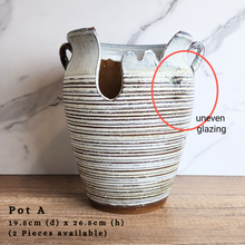 Load image into Gallery viewer, The Leaferie As-is Feb 24. Pot A