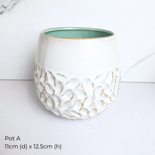 Load image into Gallery viewer, The Leaferie AS-IS Jan 25 . 9 new flowerpots