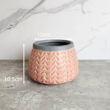 Load image into Gallery viewer, The Leaferie Osamu Pot. pink shallow ceramic pot.