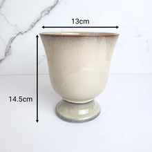 Load image into Gallery viewer, The Leaferie Keave trophy beige ceramic pot