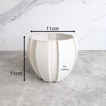 Load image into Gallery viewer, The Leaferie Auralie white ceramic flowerpot.