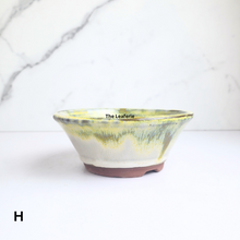 Load image into Gallery viewer, Bonsai Flowerpot (Series 51) 8 colours