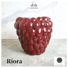 Load image into Gallery viewer, The Leaferie Riora red grape flowerpot