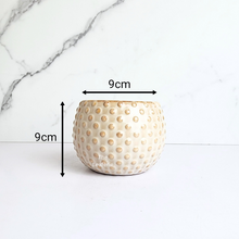 Load image into Gallery viewer, The Leaferie Cedro beige ceramic pot. small planter