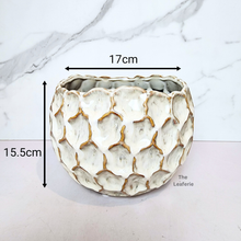 Load image into Gallery viewer, The Leaferie Eclipse ceramic Flowerpot