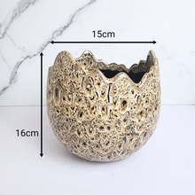 Load image into Gallery viewer, The Leaferie Dubois Egg flowerpot.ceramic material