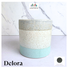 Load image into Gallery viewer, The Leaferie delora flowerpot. ceramic 3 colors pot