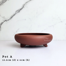 Load image into Gallery viewer, The Leaferie As-Is April 2024 flowerpots