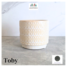 Load image into Gallery viewer, Toby white pot with gold patterns on a gray surface, featuring the Leaferie brand.