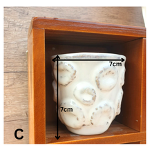 Load image into Gallery viewer, Petit Flowerpots (Series 3)