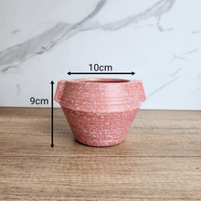 Load image into Gallery viewer, The Leaferie Liora pink flowerpot. ceramic material