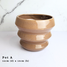 Load image into Gallery viewer, The Leaferie AS-Is May 2024. 12 pieces ceramic pots