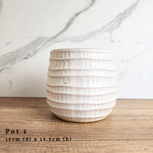 Load image into Gallery viewer, As-Is Batch January 2024 (15 items)