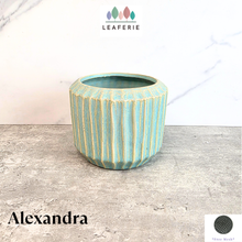 Load image into Gallery viewer, Alexandra Flowerpot