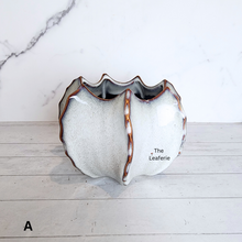 Load image into Gallery viewer, The Leaferie Colbert ceramic flowerpot . 2 colours