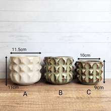 Load image into Gallery viewer, Antonia Flowerpot