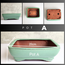 Load image into Gallery viewer, The Leaferie Tally Bonsai pot Series 3. large bonsai planter. design Pot A green colour