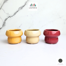 Load image into Gallery viewer, The Leaferie Liv flowerpot. 2 colours ceramic material
