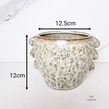 Load image into Gallery viewer, The Leaferie Meadow ceramic pot beige colour