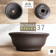 Load image into Gallery viewer, The Leaferie Bonsai Series 37. Purple Sand Material. 2 sizes