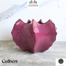 Load image into Gallery viewer, Colbert Flowerpot