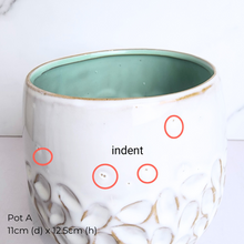 Load image into Gallery viewer, The Leaferie AS-IS Jan 25 . 9 new flowerpots