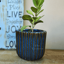 Load image into Gallery viewer, Radha Pot